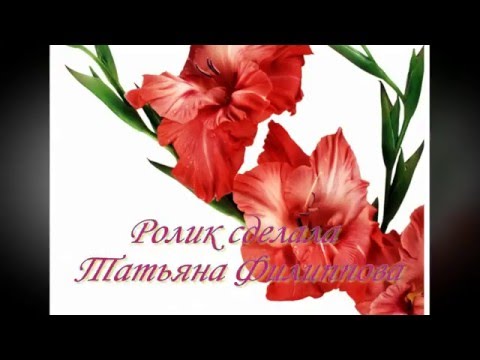 Гладиолусы - цветы моего детства