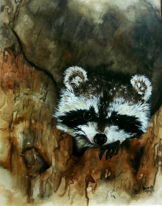 Raccoon Watercolor Art Painting Wildlife Painting Print