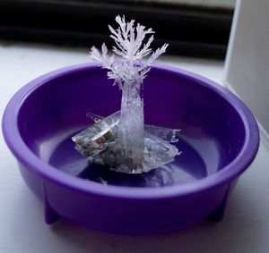 Как вырастить кристалл из соли в домашнихх услвоиях