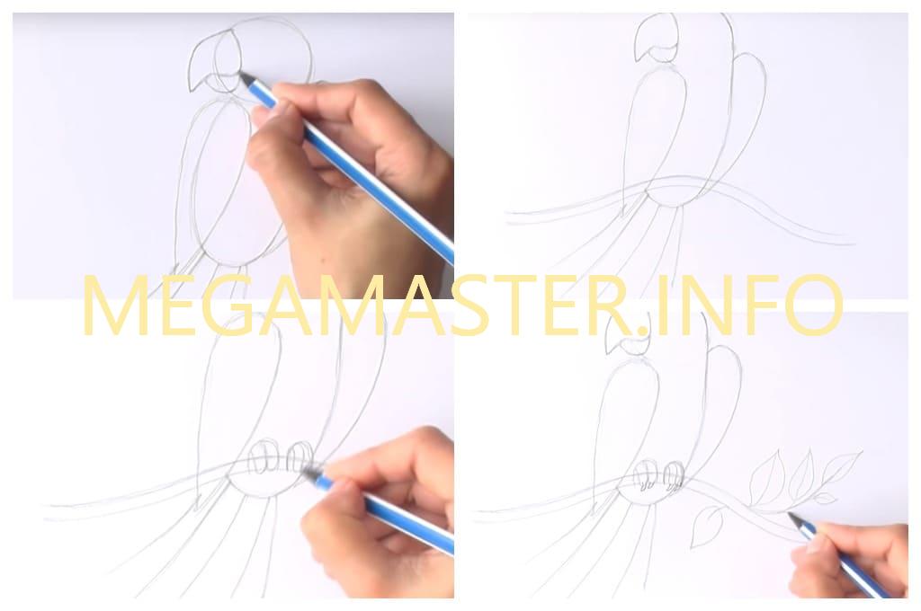 Рисуем попугая фломастерами (Шаг 2)