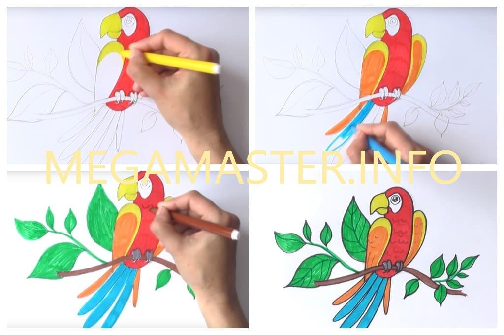 Рисуем попугая фломастерами (Шаг 4)
