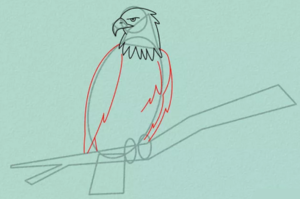 Как нарисовать карандашом поэтапно самую таинственную птицу - орла