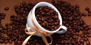 Зерна кофе для кофейного деревца