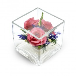CubePink, Цветы в вакууме NFSqMRp