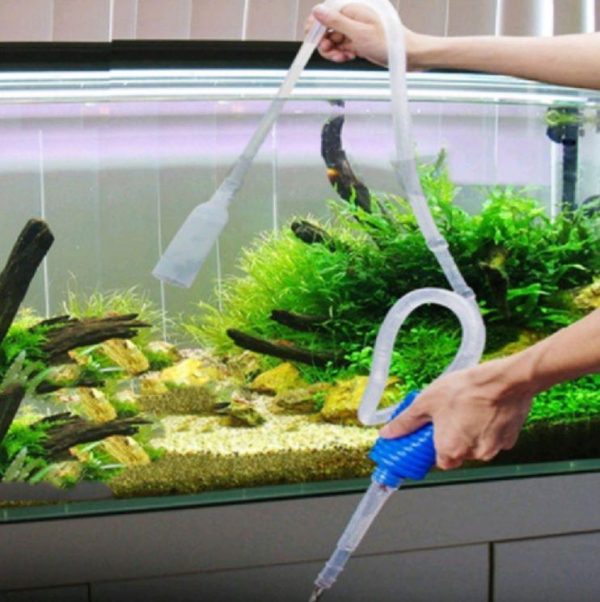 Чистим аквариум с рыбками правильно