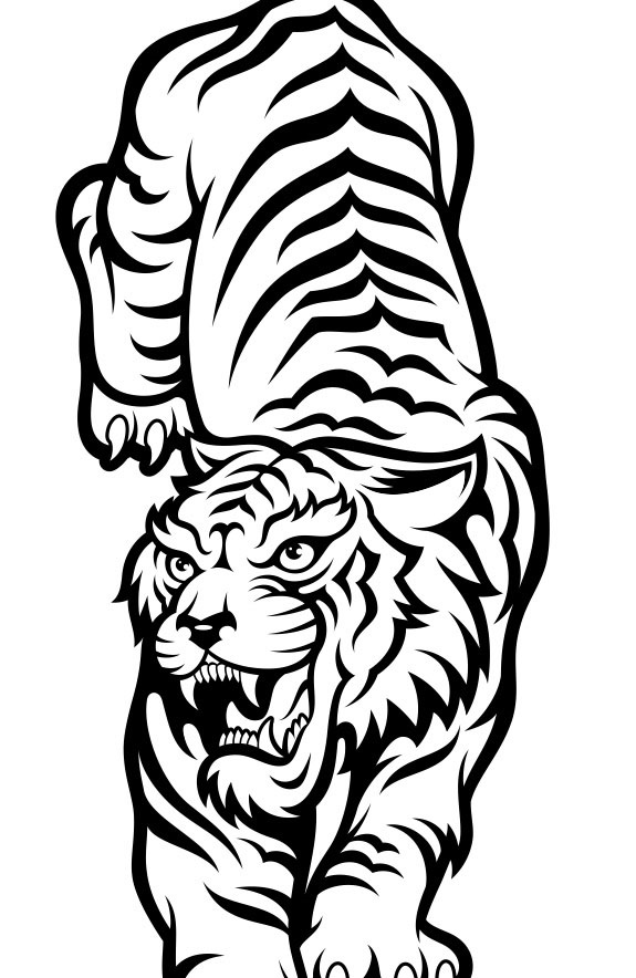 Красивые рисунки тигра для срисовки022