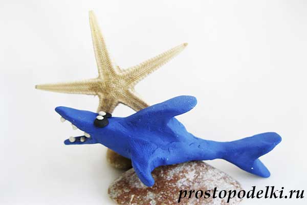 Акула из пластилина-15