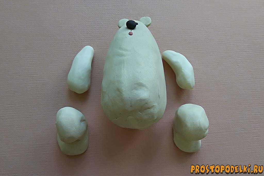 Белый медведь из пластилина-3