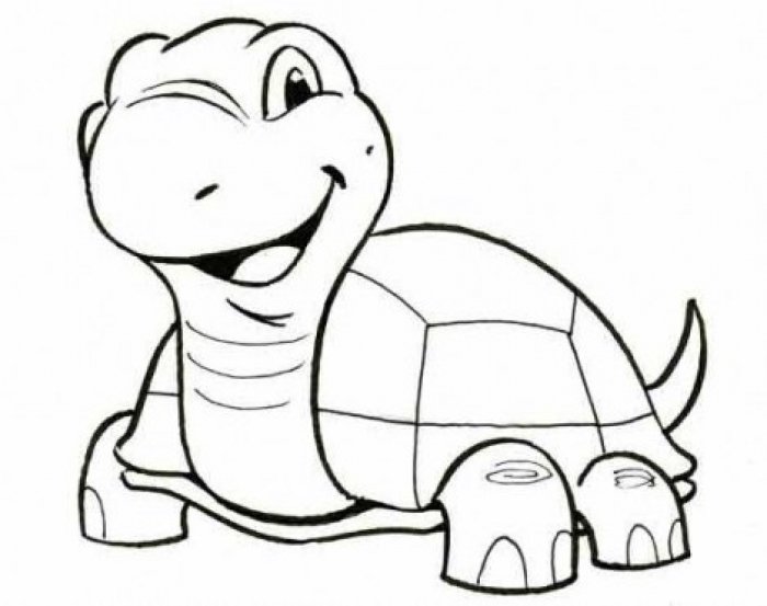 Как нарисовать черепаху карандашом поэтапно, фото 6