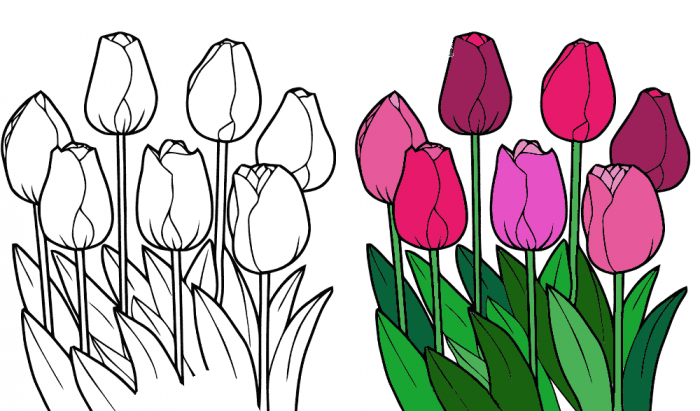 Рисуем тюльпаны