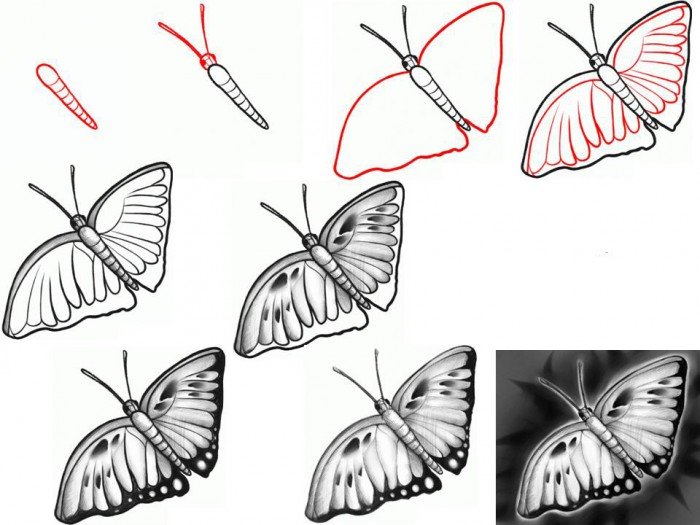 Як намалювати метелика крок за кроком, фото 2