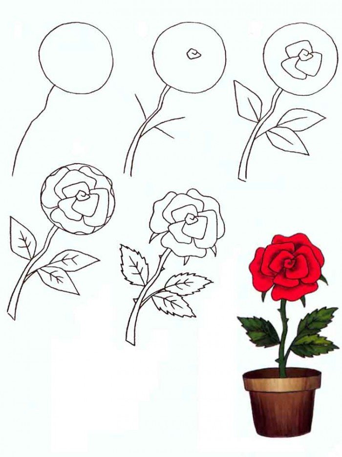 Як намалювати розу, фото