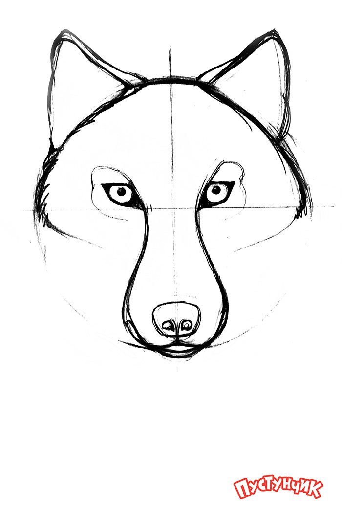 Как нарисовать волка поэтапно, фото 3