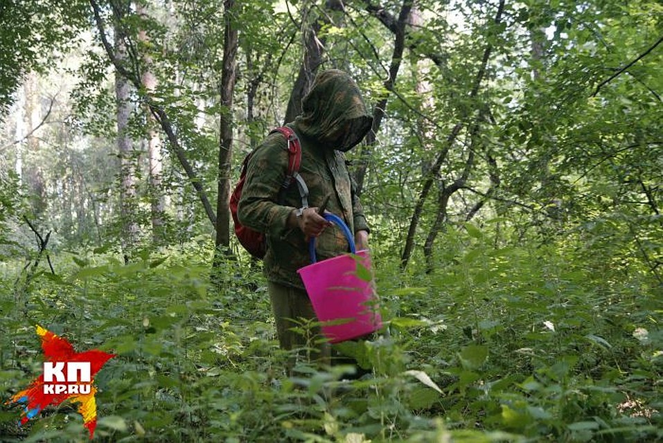 Тщательно готовьтесь к походу в лес и не срезайте те грибы, в которых не уверены на 100%. Фото: Алексей БУЛАТОВ