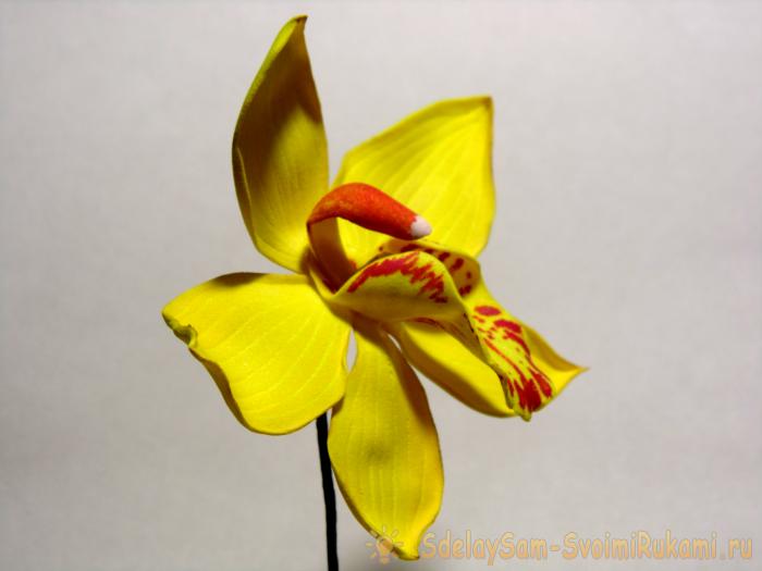 Мастер-класс веточки орхидеи