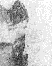 Репродукция картины И.И. Шишкина «На севере диком», 1891 г. 