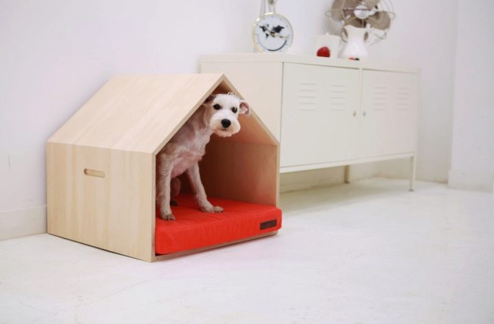 Домики для собак в квартиру: особенности, виды и изготовление своими руками