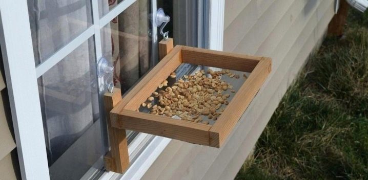 Как сделать кормушку для птиц на окно?