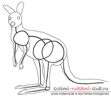 Поэтапное рисование кенгуру карандашом. Фото №4
