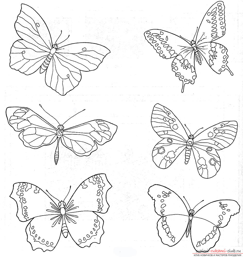 Схемы вышивки гладью бабочки. Фото №3