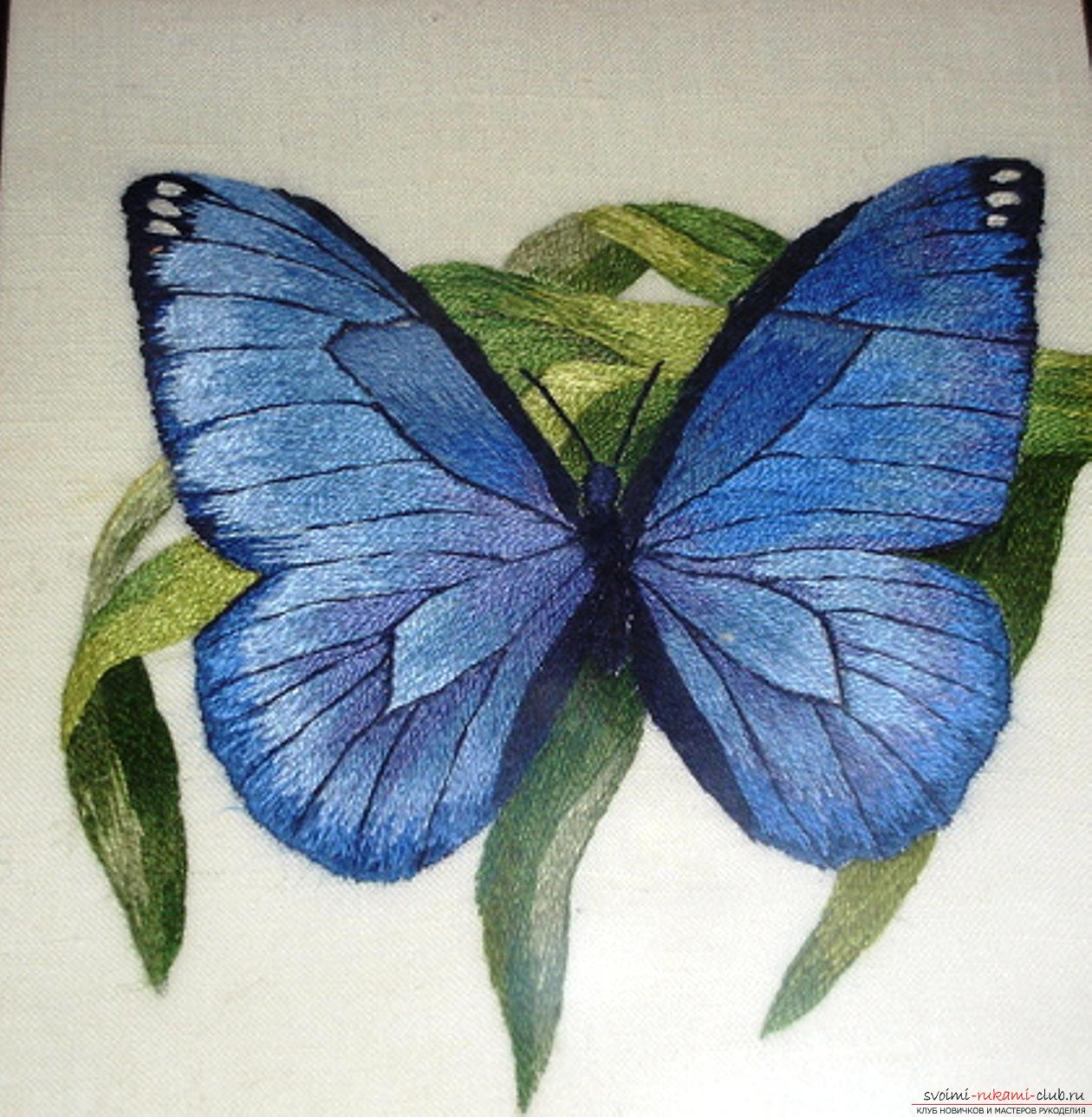 Схемы вышивки гладью бабочки. Фото №1