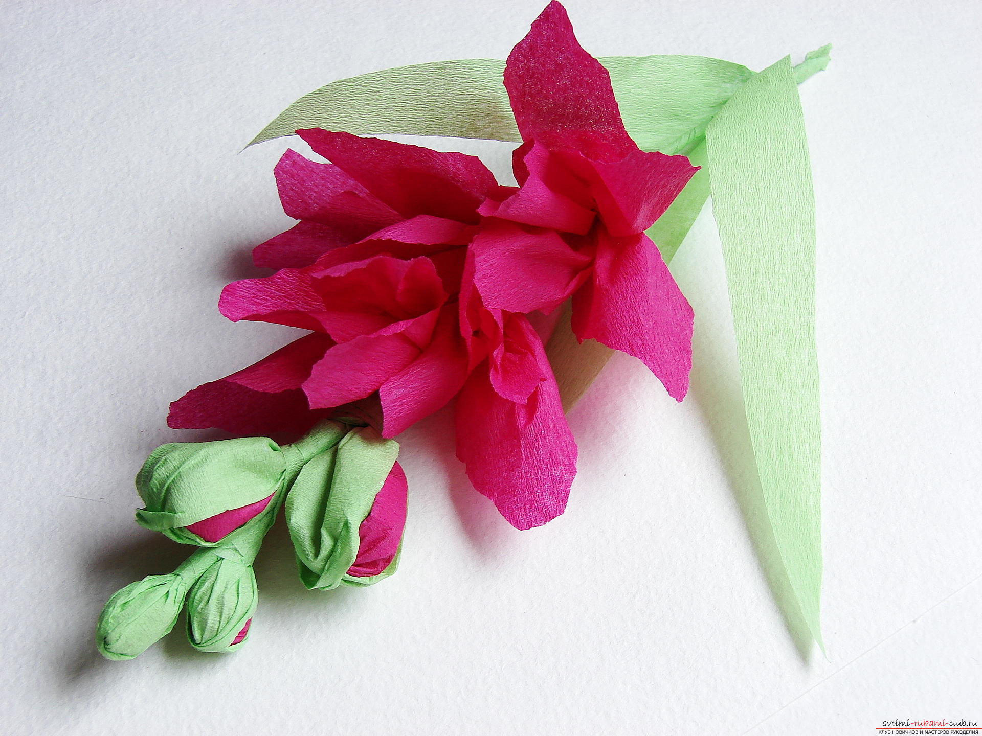 Этот мастер-класс научит как сделать цветы гладиолусы из бумаги своими руками.. Фото №32