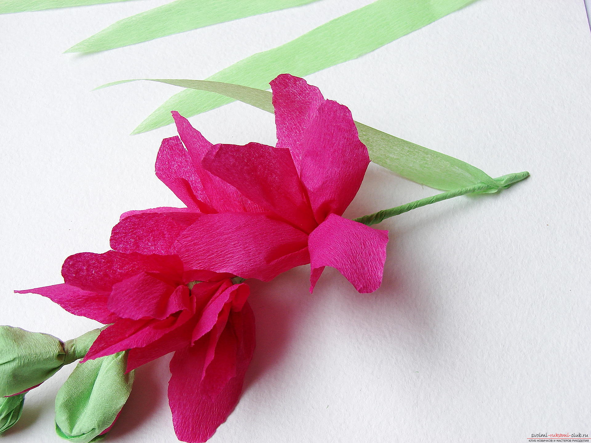Этот мастер-класс научит как сделать цветы гладиолусы из бумаги своими руками.. Фото №29