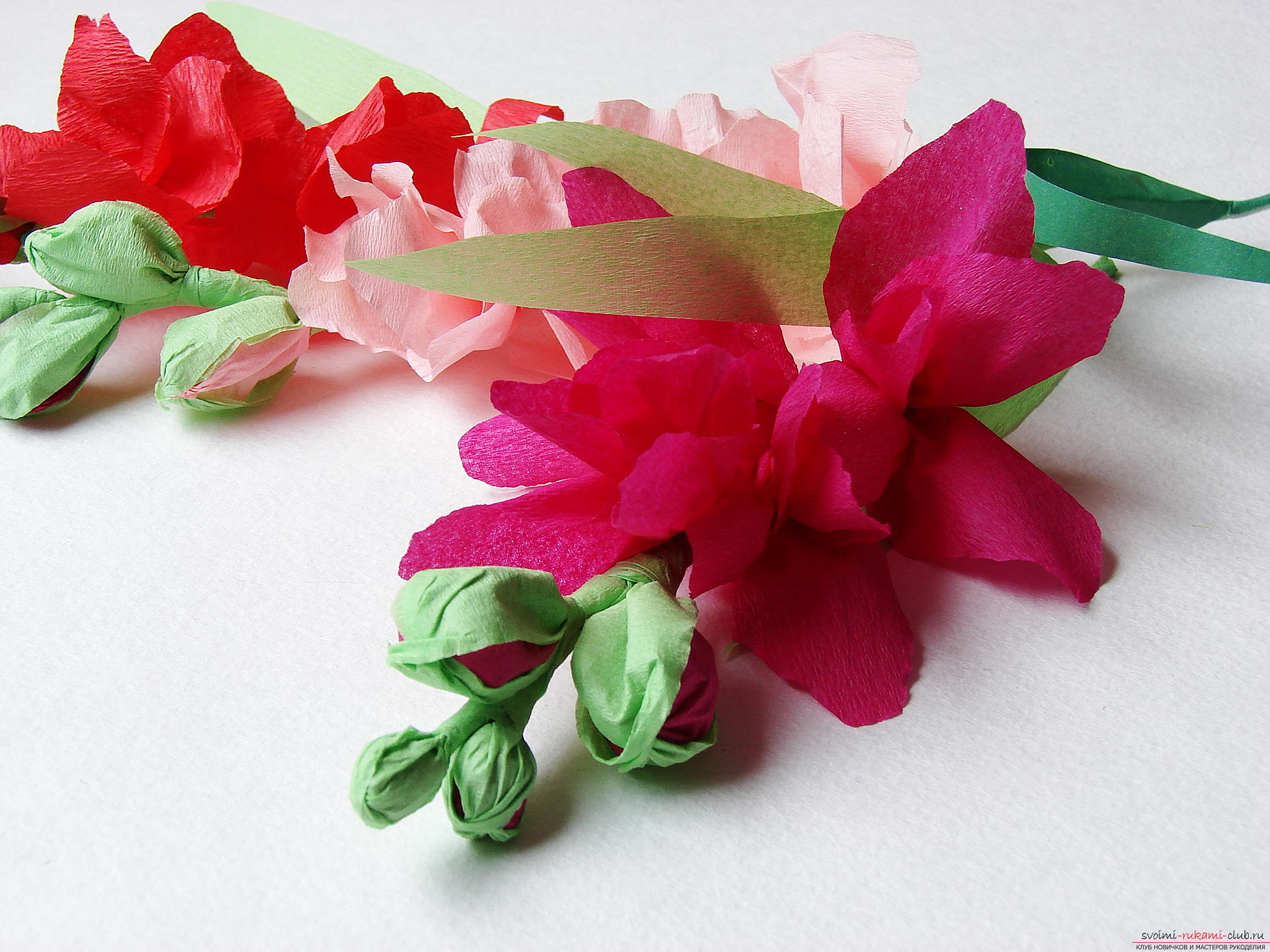 Этот мастер-класс научит как сделать цветы гладиолусы из бумаги своими руками.. Фото №31