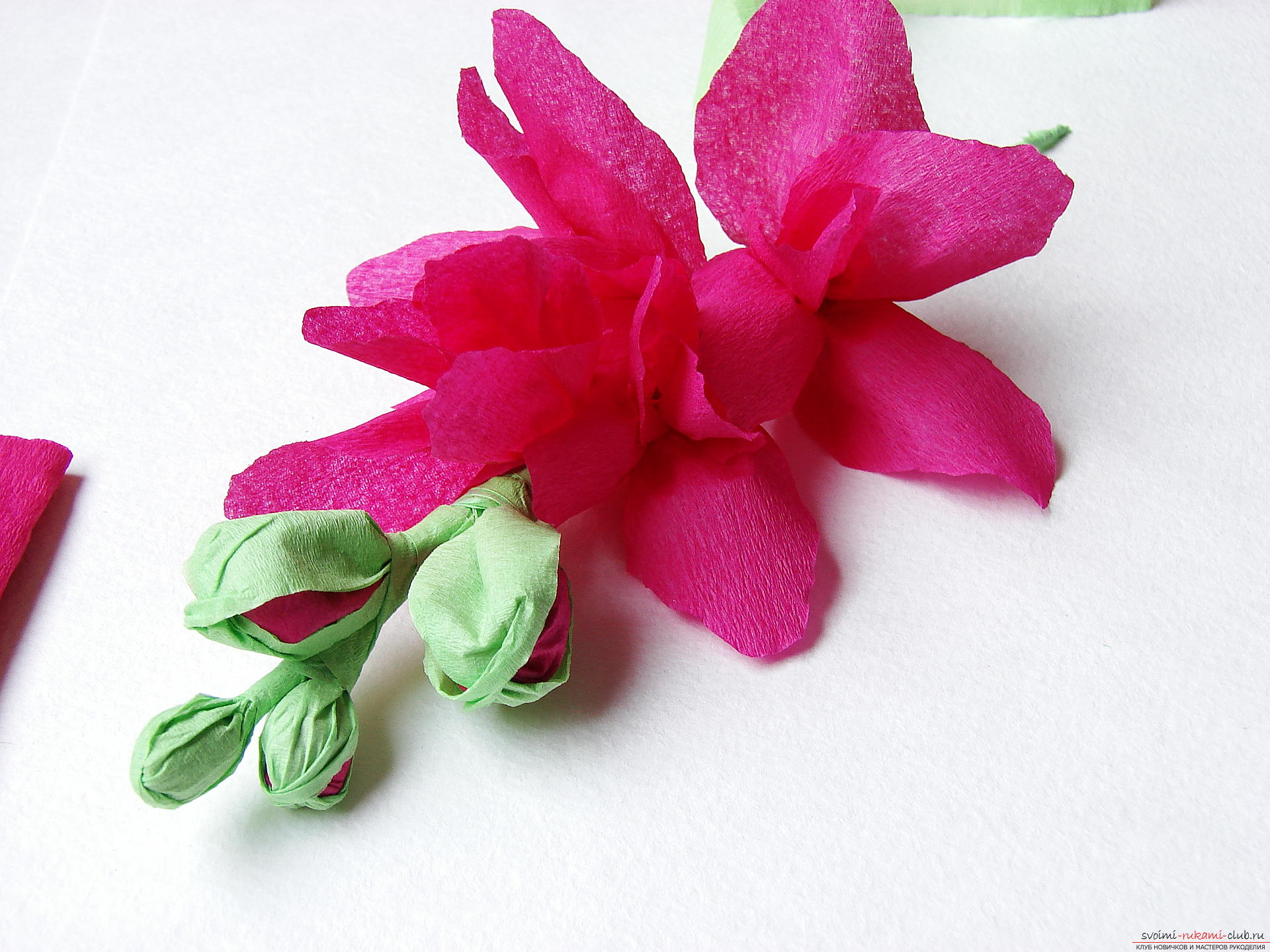 Этот мастер-класс научит как сделать цветы гладиолусы из бумаги своими руками.. Фото №25