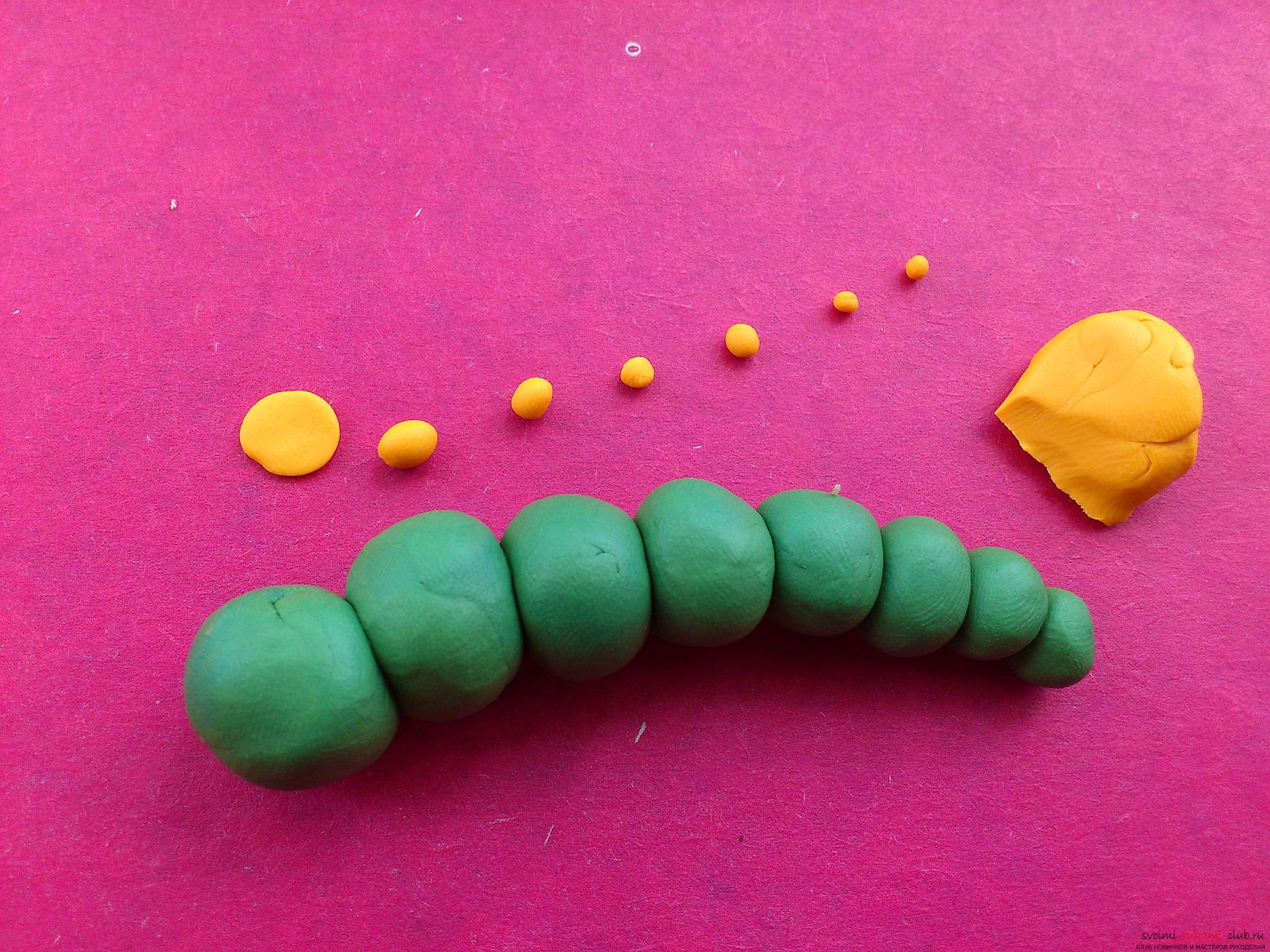 Этот подробный мастер-класс лепки из пластилина научит как сделать простую поделку - гусеницу из пластилина.. Фото №5