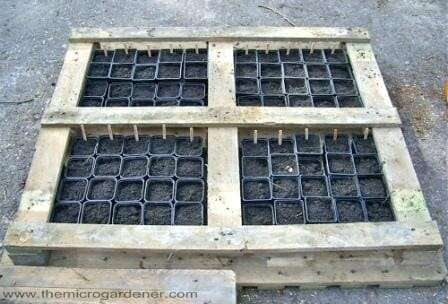 Pallet seed raising greenhouse. 