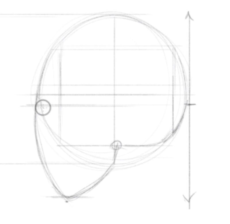 How to draw a face side view - step - 4 - Determine the Location of the Eyes