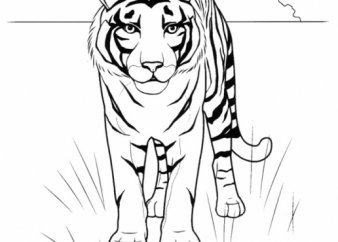 Рисунок карандашом: тигр