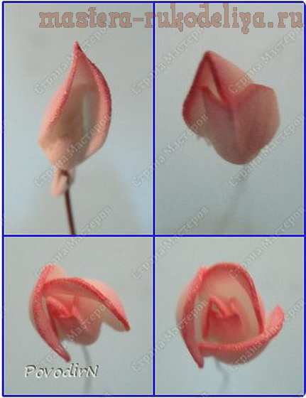 Мастер-класс по цветам из фоамирана: Розы, розочки, бутоны