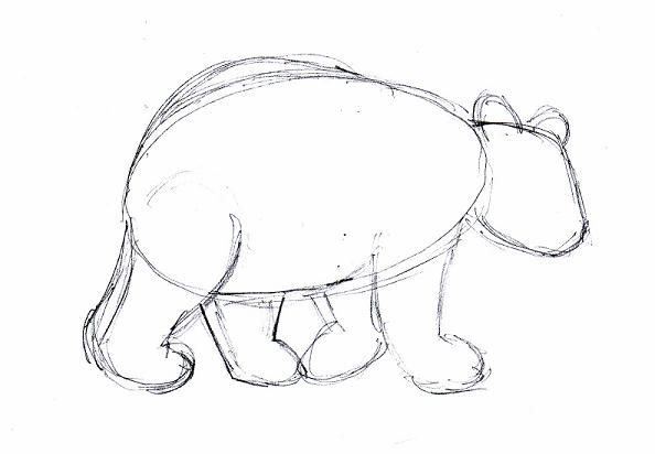 bear-drawing-4