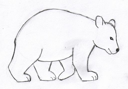bear-drawing-6