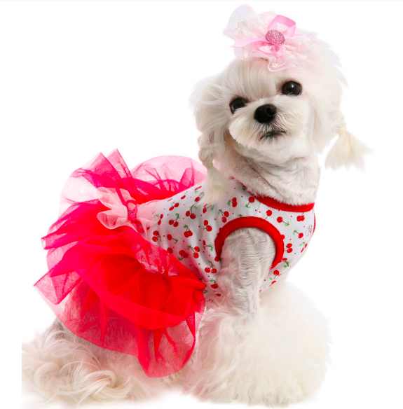 Бальное платье для собаки на Новый год