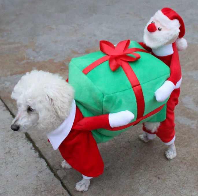 новогодний костюм для собаки