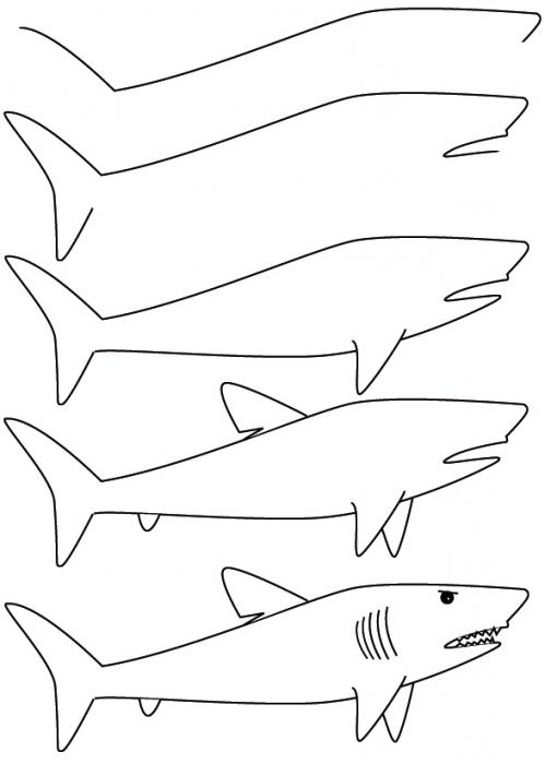 как нарисовать акулу поэтапно
