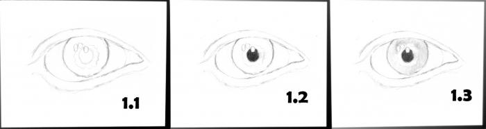 как нарисовать глаза карандашом поэтапно