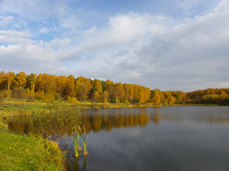 краски осени