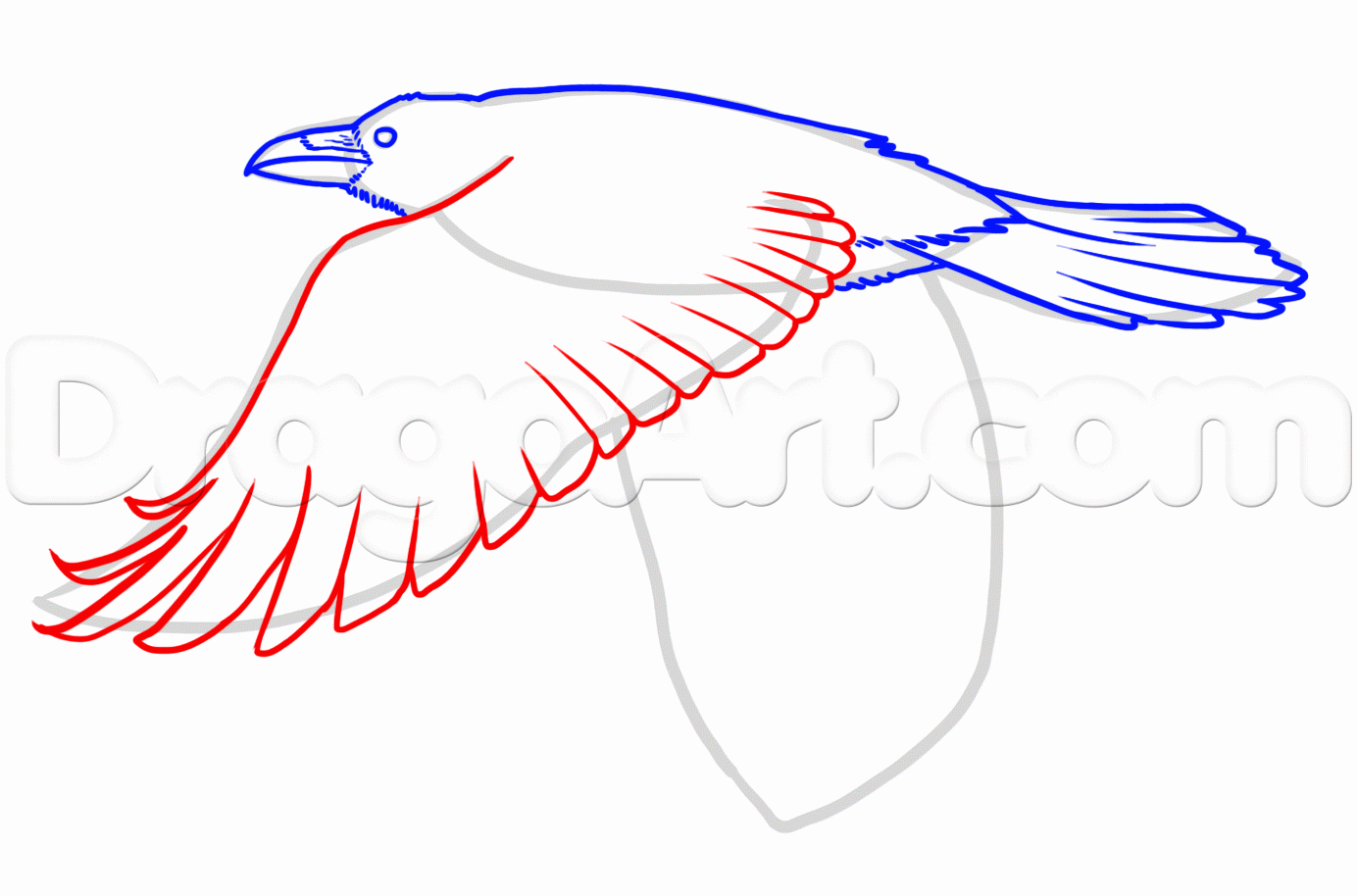 Ворона рисунок по этапно