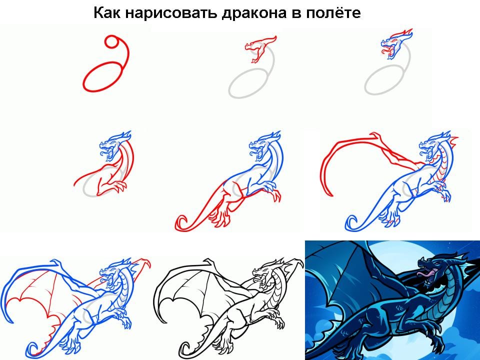 как нарисовать дракона в полете