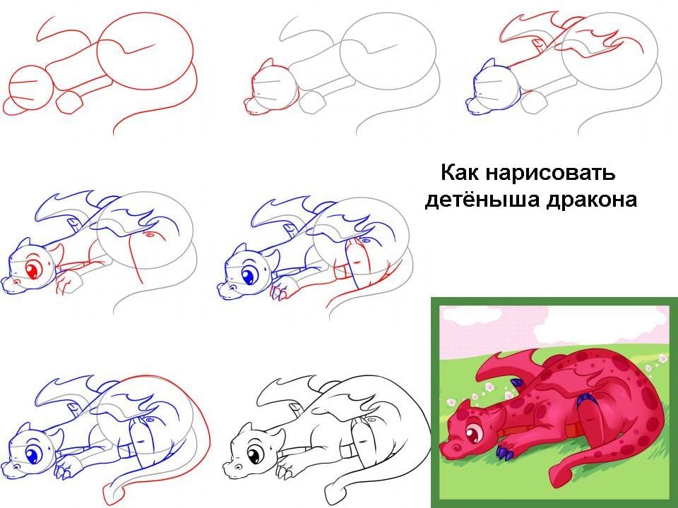 как нарисовать детеныша дракона