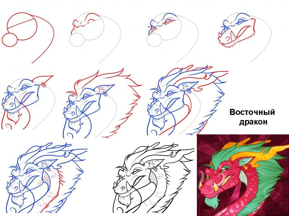 как нарисовать восточного дракона