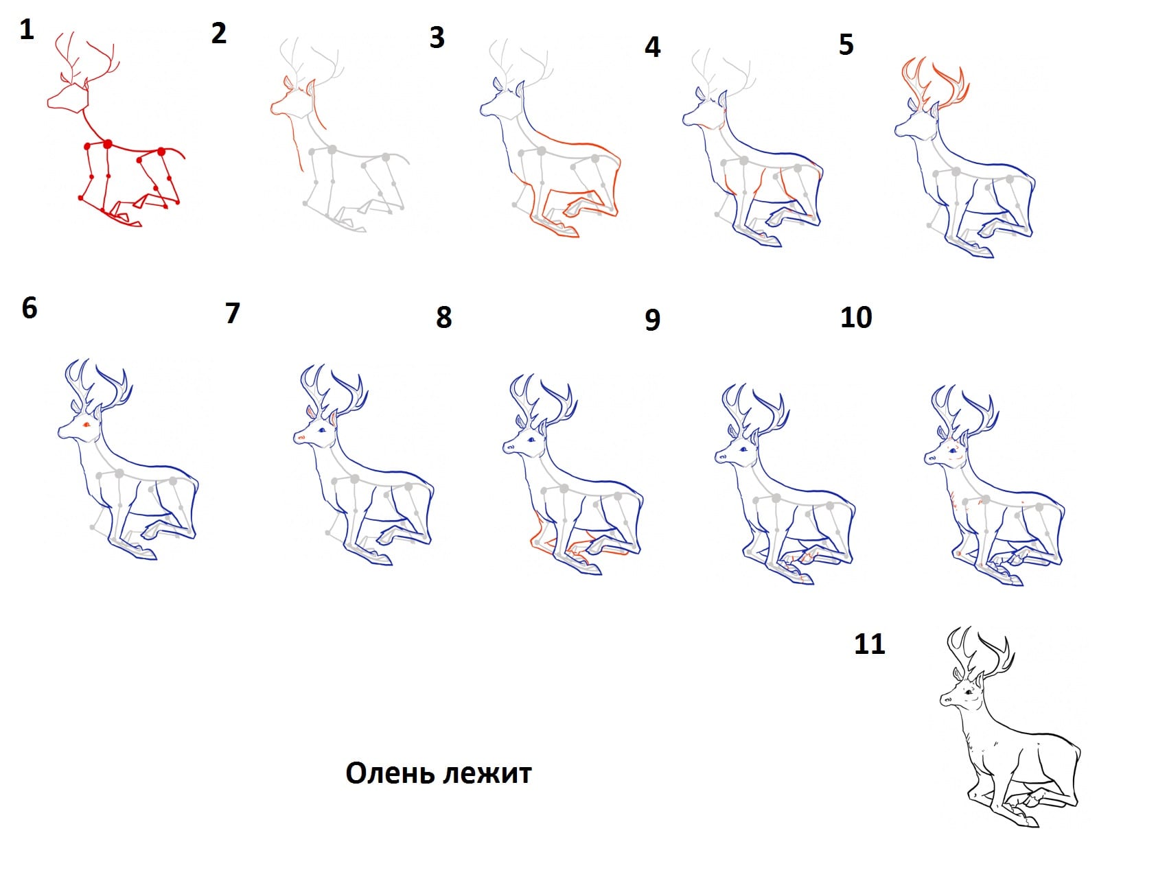 Как нарисовать лежащего оленя