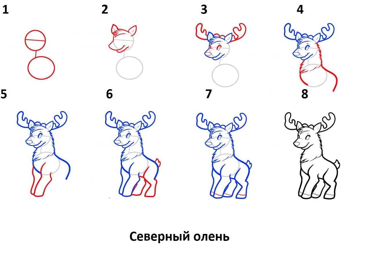 как нарисовать северного оленя