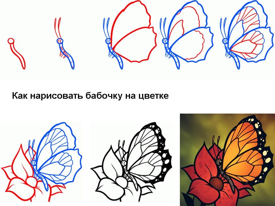 Бабочка на цветке нарисовать