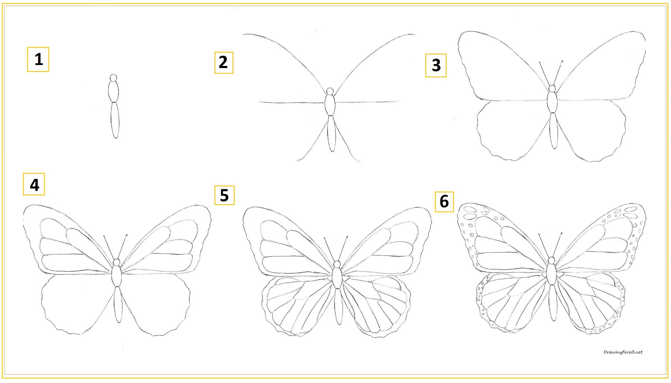 Как нарисовать бабочку для начинающих