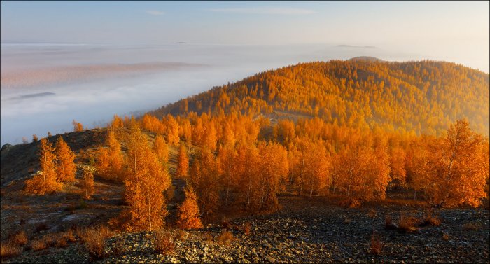 Осенние пейзажи (50 фото)